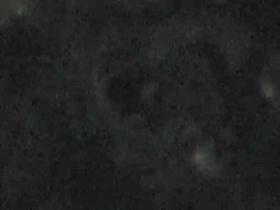 スズメバチ退治