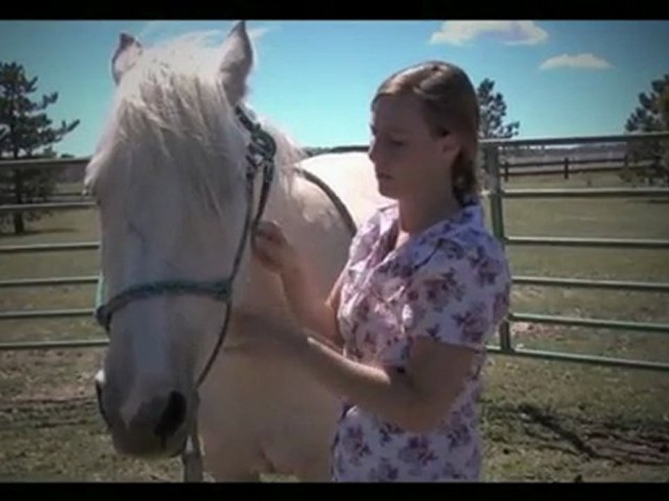 How To Bathe Your Horse