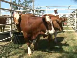 1_GIRA ESTADOS UNIDOS 1 Diciembre 23 de 2011