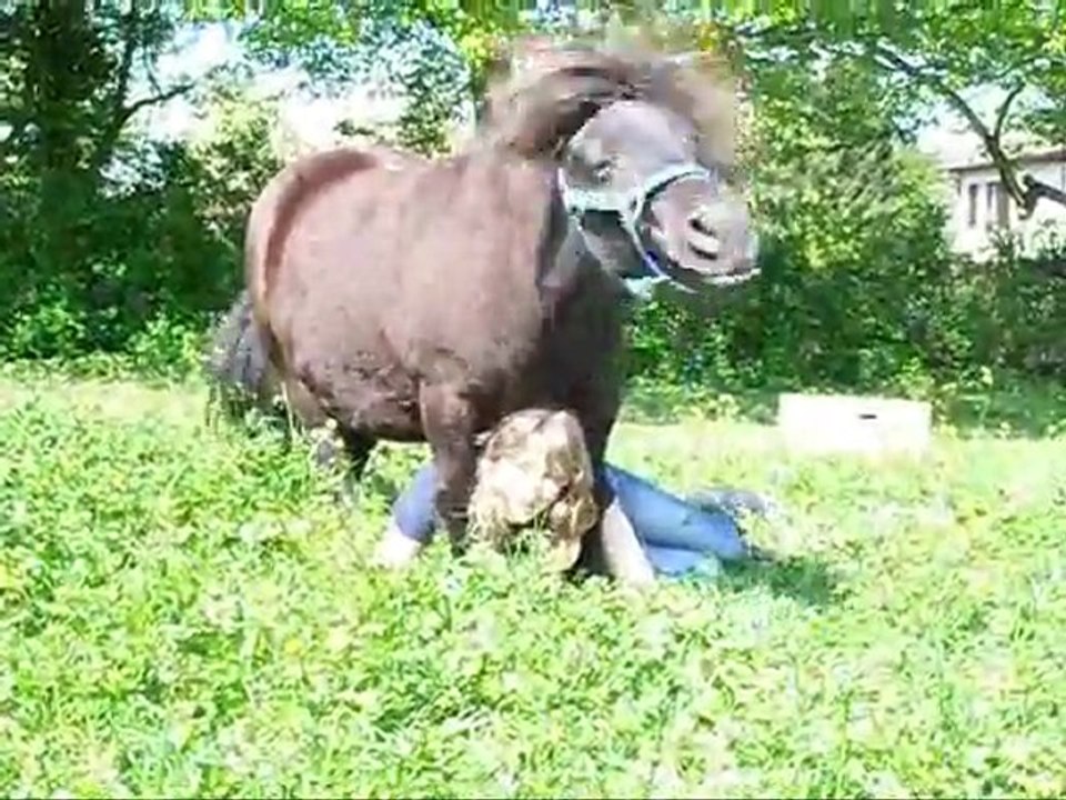 Mascotte 2011