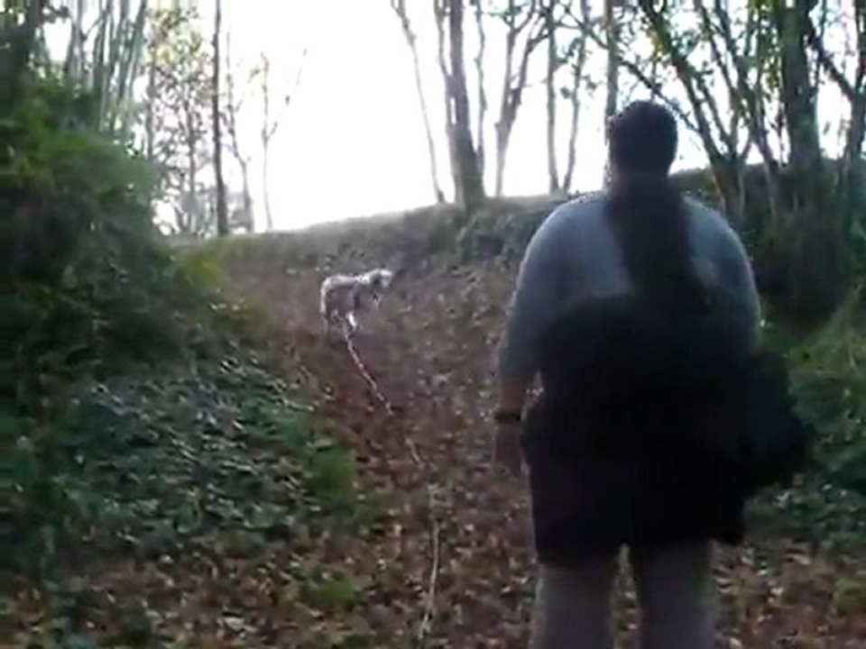 Recherche Utilitaire "Piste" N1_P3, milieu rural et semi urbain.