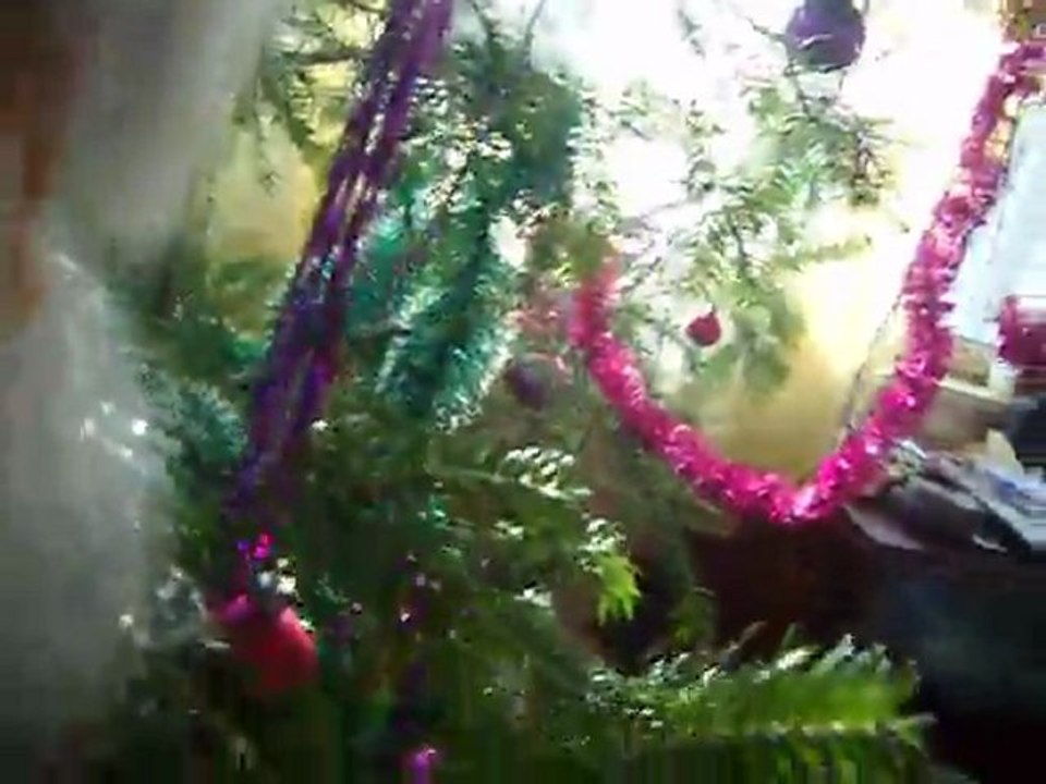 Mon sapin, ma prière