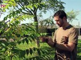 Gembloux Agro-Bio Tech - Université de Liège