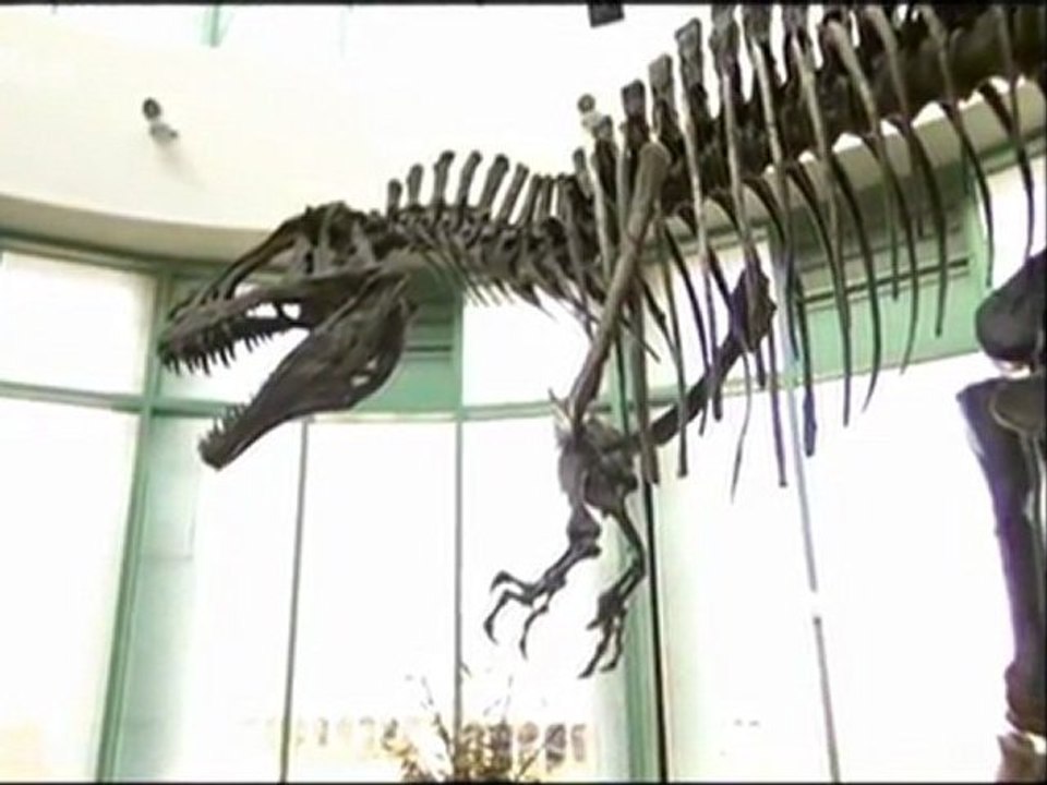 Mégamonstres (Grand prédateur américain) 2/2