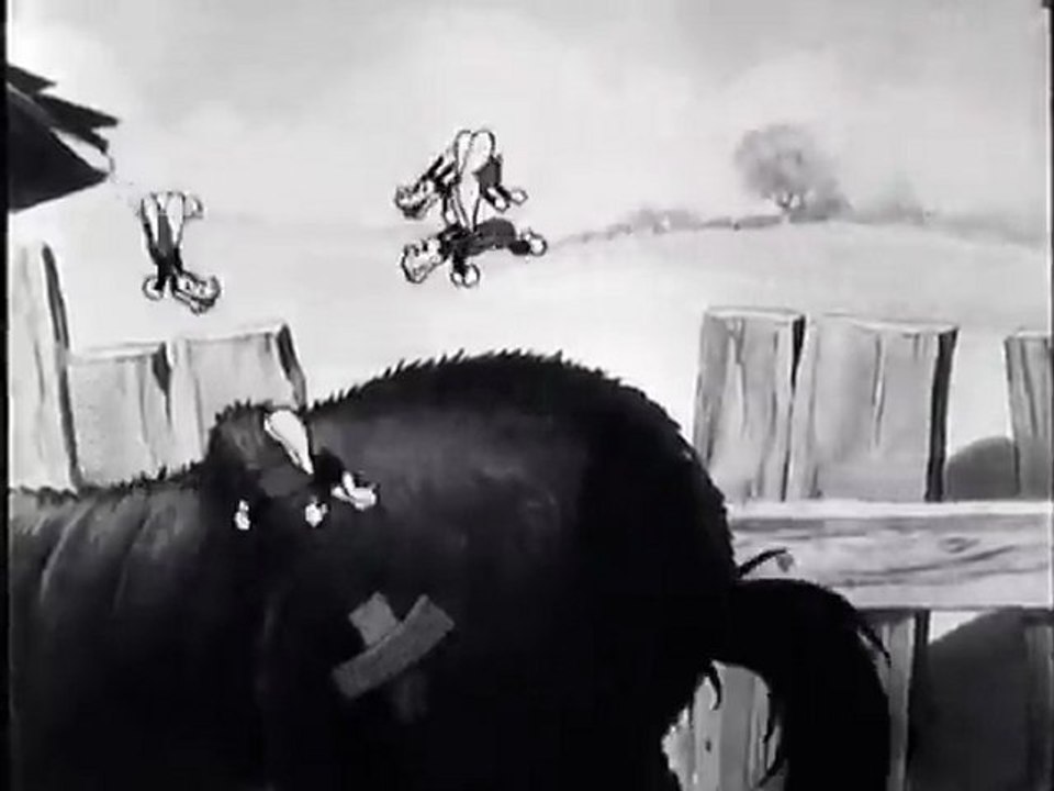 The Spider and the Fly (Commentary)