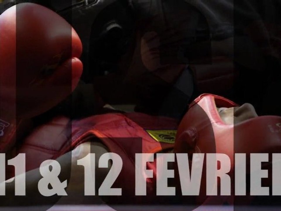 Championnat de France de Wushu 2012