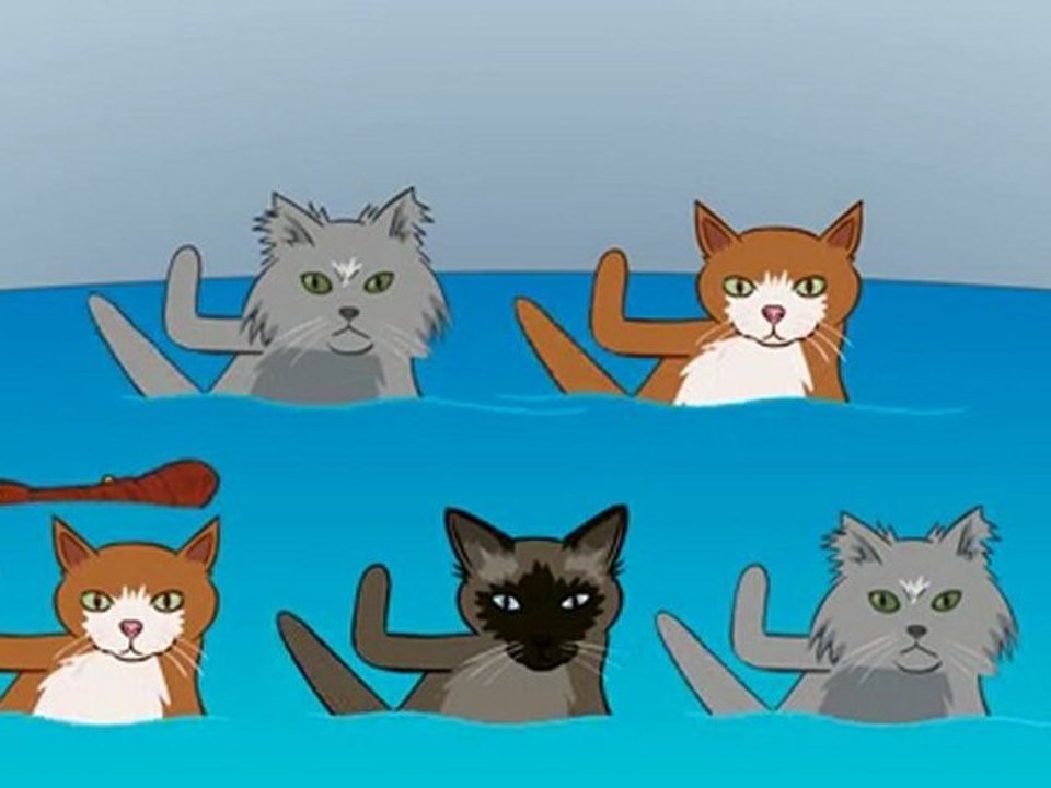 Les chats dans vos toiletes