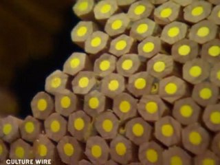 SECA: 50 Years of Bay Area Art at SFMOMA