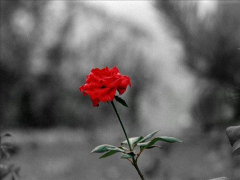 Tekin Karabey - Demek Gidiyorsun (siir) - YouTube