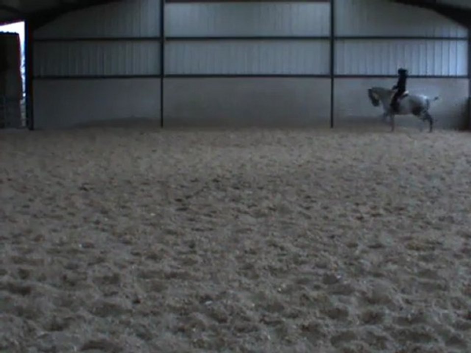 M2U01154 appuyer au trot puis allongement