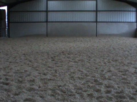 M2U01152 variations de trot