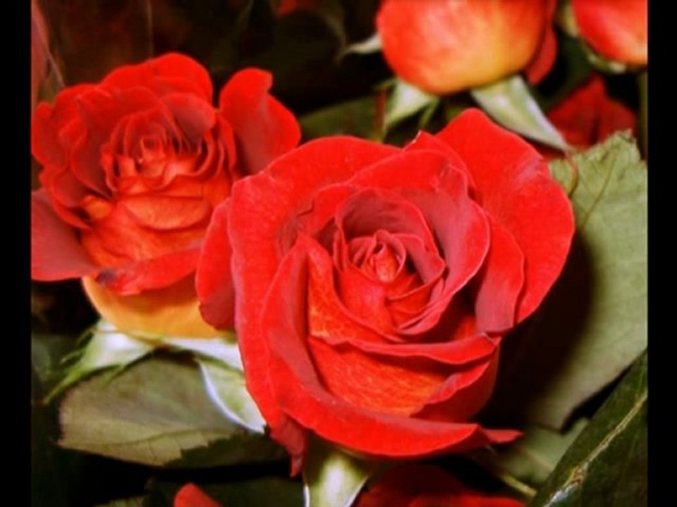 Aşkın Kabesi-Musa Eroğlu