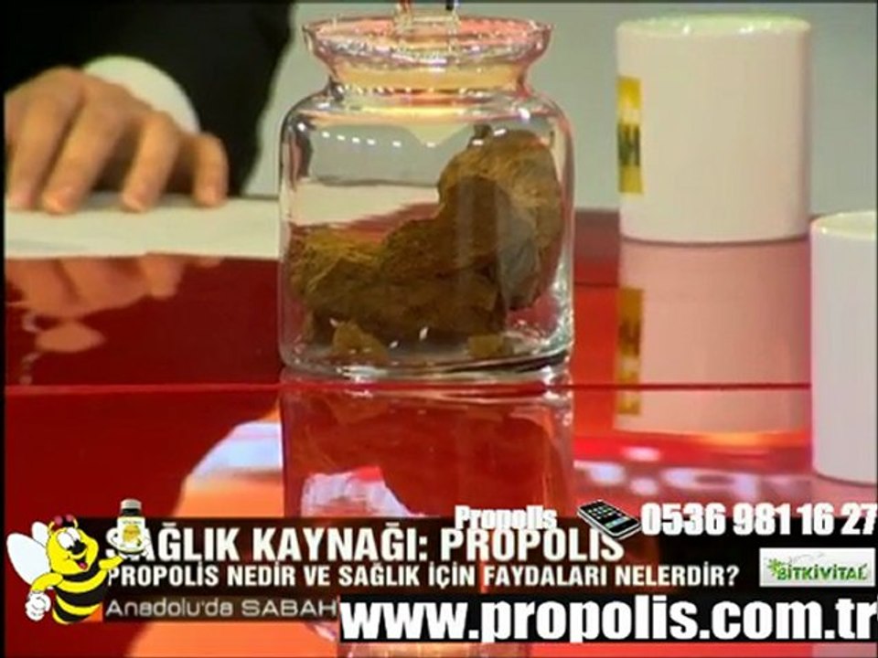 propolis,bitkivital,nurcan aksoy,bal,arı,arı sütü,polen,doğal bitkisel ürünler,sağlık,sağlık ürün,sağlık ürünler