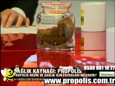 propolis,bitkivital,nurcan aksoy,bal,arı,arı sütü,polen,doğal bitkisel ürünler,sağlık,sağlık ürün,sağlık ürünler