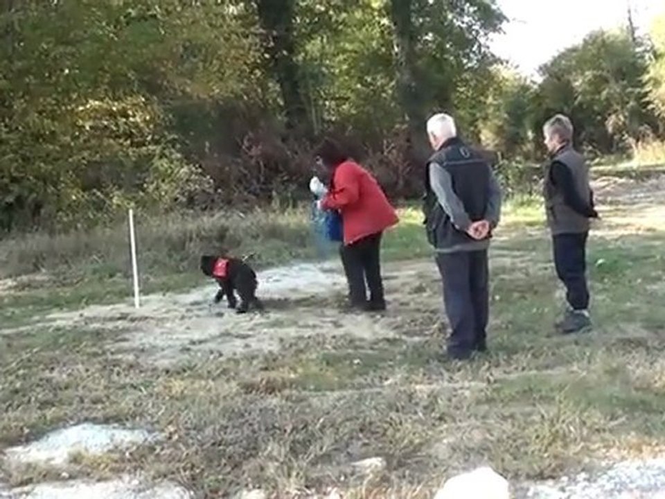 Recherche Utilitaire Stage 001 Atelier mini piste P1