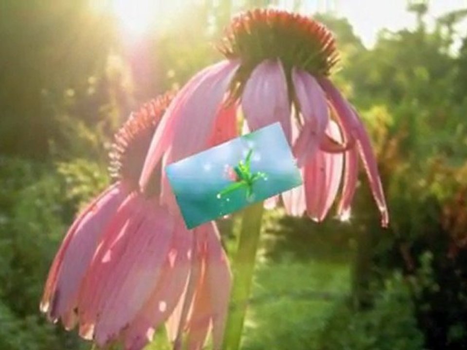 Dönülmez Akşamın Ufkundayız