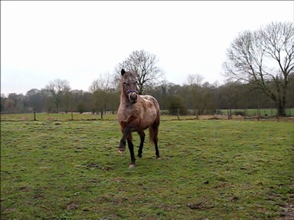 Sucette - Exercices à pied et câlins ; )