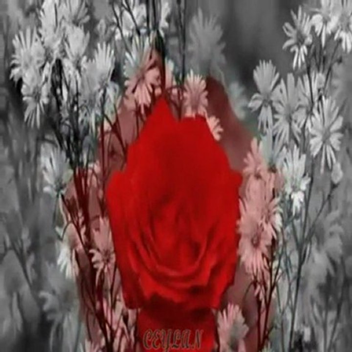 HAZALIM