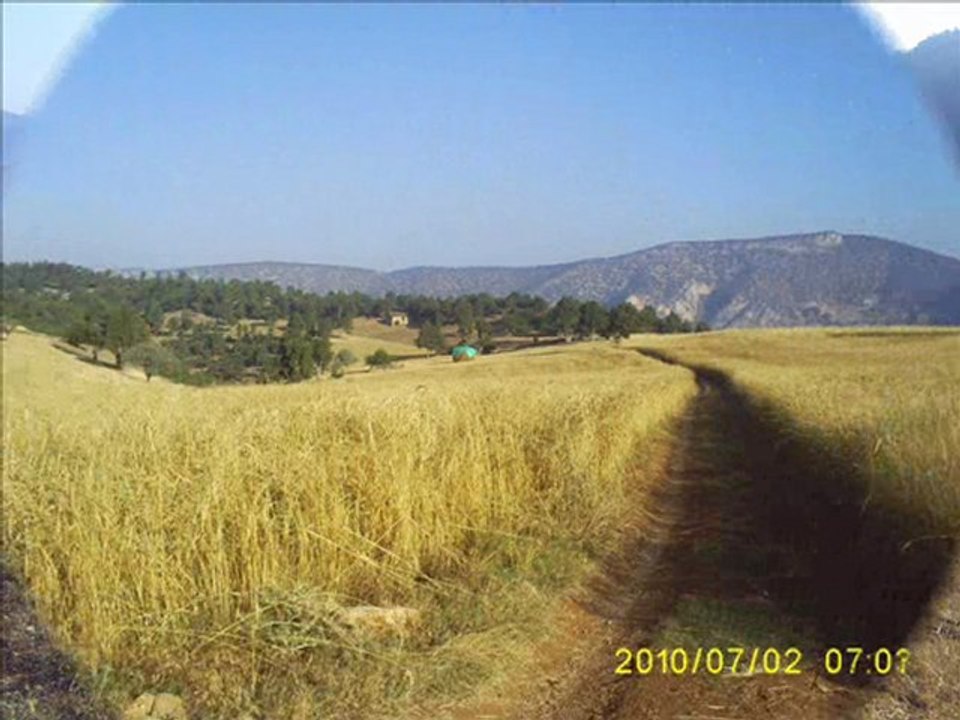 Muhsin Tozlu - Bin Cefalar Etsen Almam Üstüme - 28