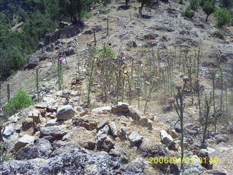 Muhsin Tozlu - Bizim Bağa Bir Canavar Dadandı - 110
