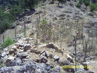 Muhsin Tozlu - Bizim Bağa Bir Canavar Dadandı - 110