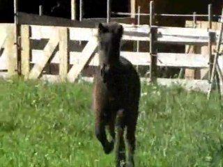 septembre octobre novembre 2011