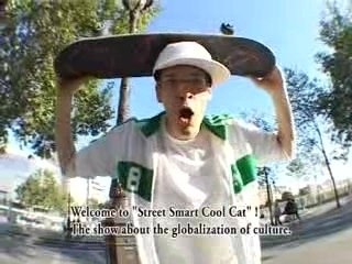 The globalization of culture