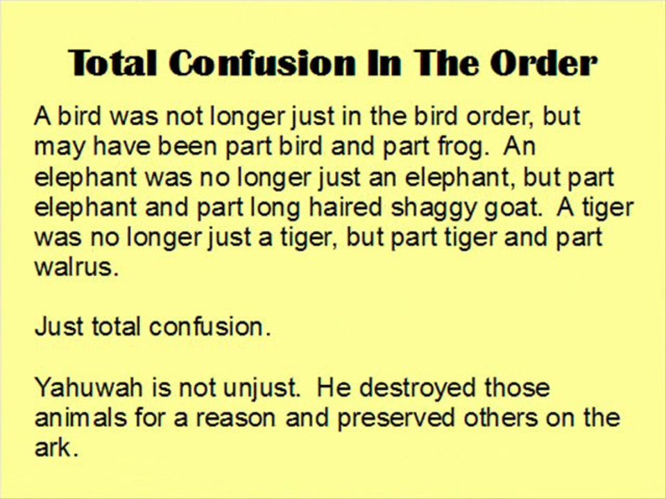 ALTERNATIVE THEORY ABOUT THE DINOSAURS