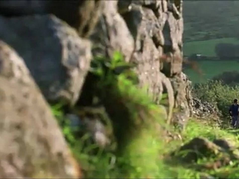 PS I Love You ( bande annonce VOST )