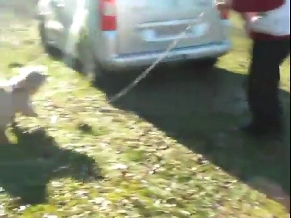 Recherche Utilitaire "Piste" N3_P2