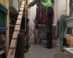 Kaïpi - 23 décembre 2011