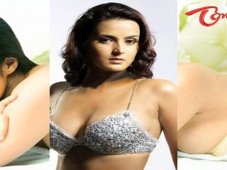 Rare and Hot Collection of Bollywood Model and Actress - Tulip Joshi