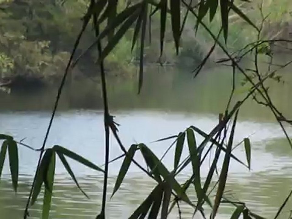 MVI_2951