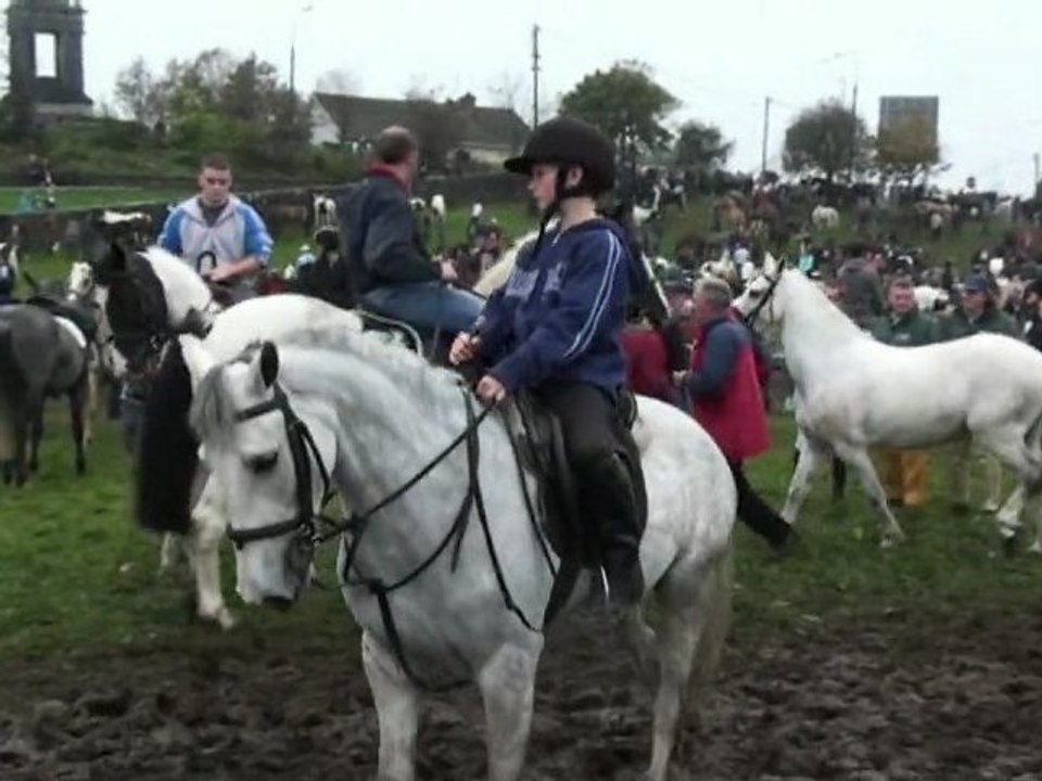 Ballinasloe Horse Fair 2011