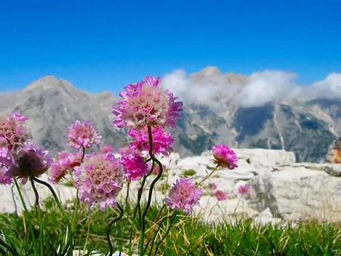 Haydi Götür Dosta Beni