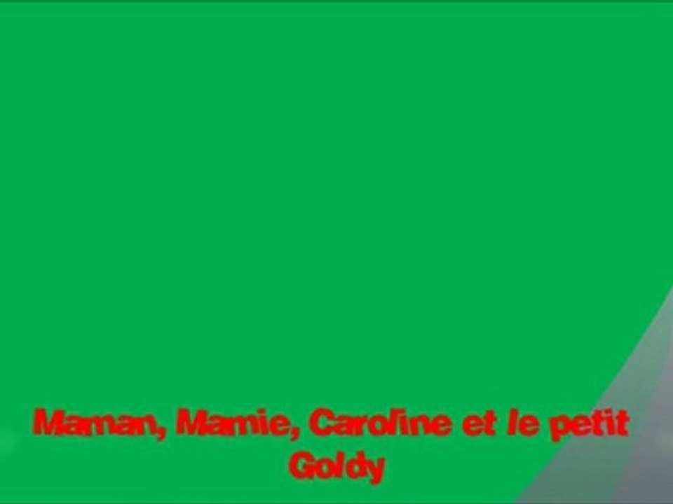 Joyeux Noel ♥ !