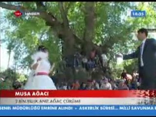 Turkiye Ajansı - 28.04.2010