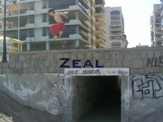 Entrenamiento Jaguar y Zeal