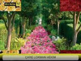 tek Çarem Lokman Hekim şifalı bitkiler tedavi merkezi bitki ürünü doğal özel ilaç