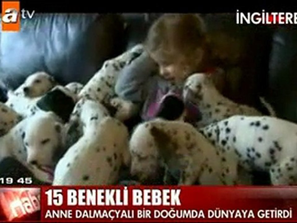 15 benekli bebek