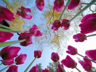 Harputlu Cebrail Salam Ya Resul Allah