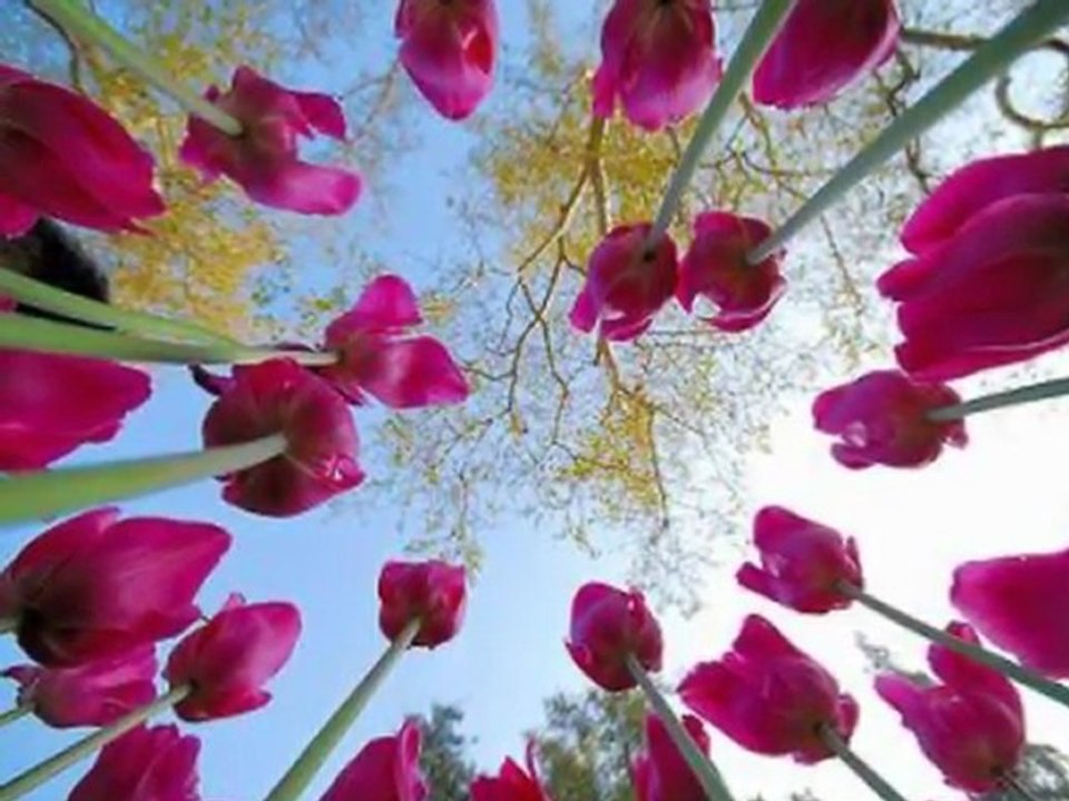 Harputlu Cebrail Salam Ya Resul Allah