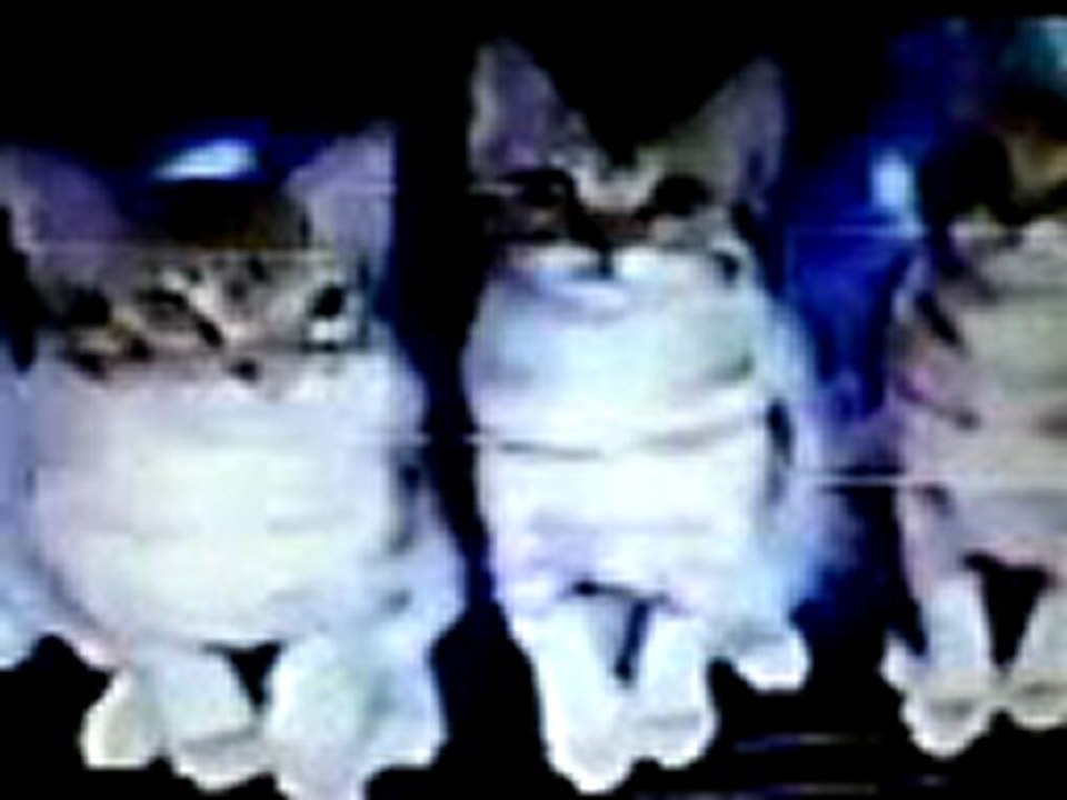 ERYAMAN EVDEN EVE NAKLİYAT, 0312 226 23 78 ERYAMAN DANAKLİYE