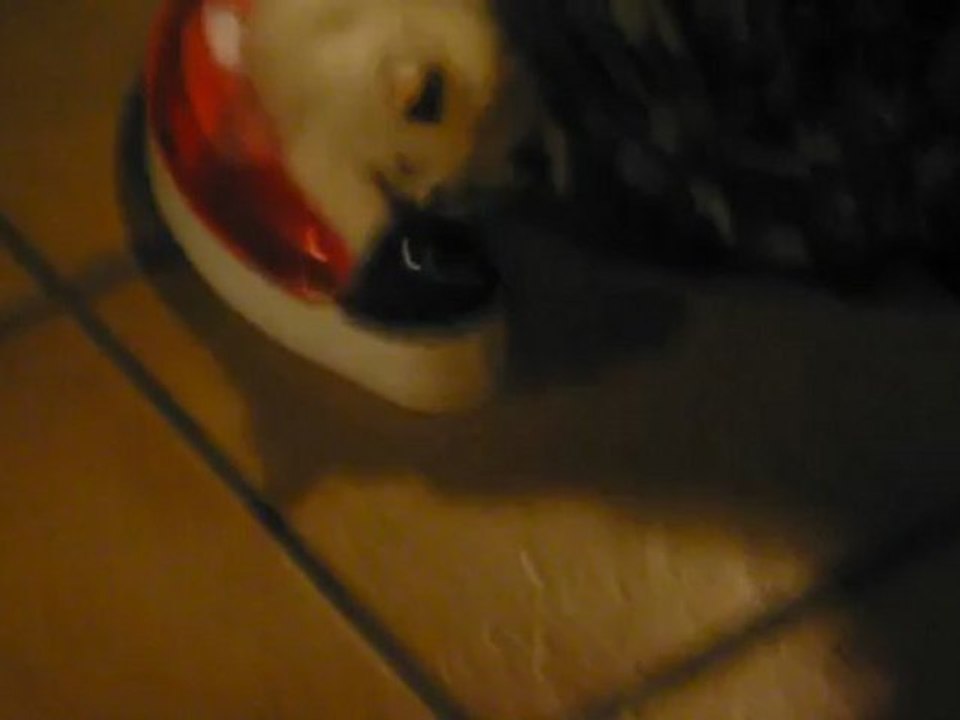 noël-2
