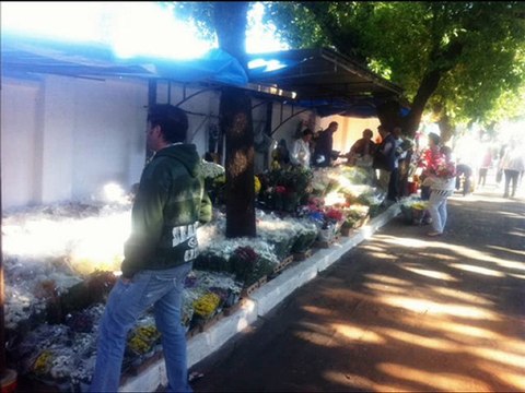 Eu, Eu & Eu Mesmo - Rua Ramalhete