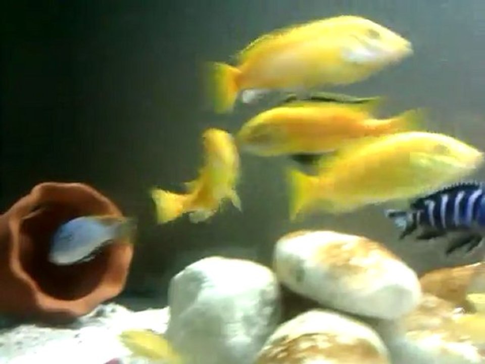 VIDEO0002