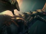 RaiderZ : l'Art du Combat (PC) - Trailer