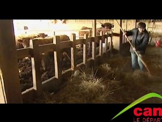 Association Terre Entre Aide Cantal