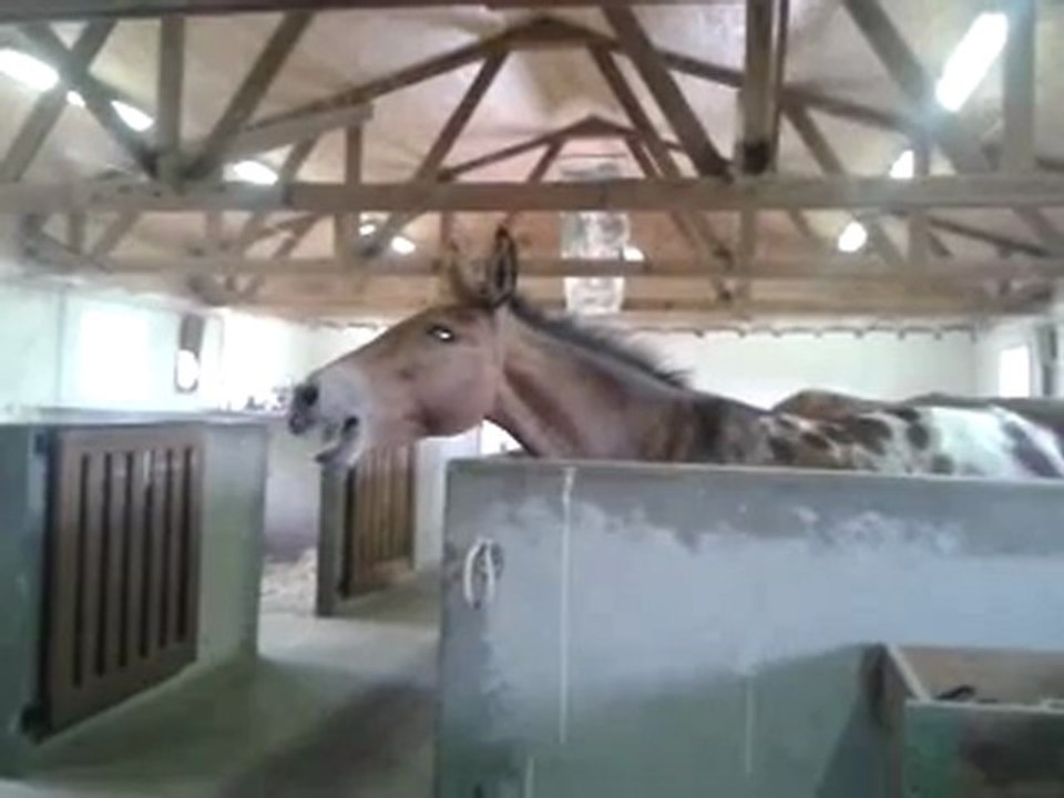 video-2011-06-30-15-43-31