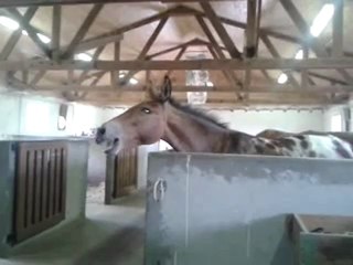 video-2011-06-30-15-43-31